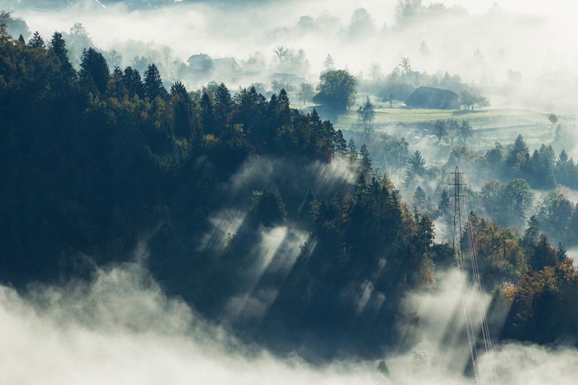 aerial-shot-beautiful-tree-forest-covered-with-fog-bled-slovenia-scaled.jpg
